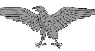 L’ascesa del nazionalismo in paesi emergenti