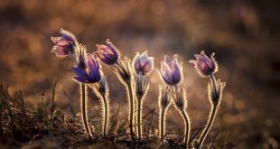 Grandi eventi sportivi e impatto locale post-gara