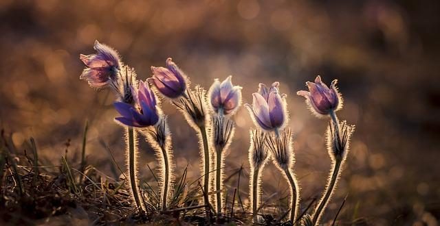 Grandi eventi sportivi e impatto locale post-gara