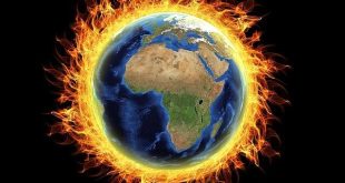 Umanità sul piano climatico: progetti di riforestazione globale