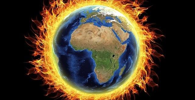 Umanità sul piano climatico: progetti di riforestazione globale