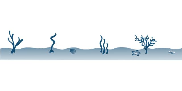 Ecosistemi marini in crisi: strategie di recupero